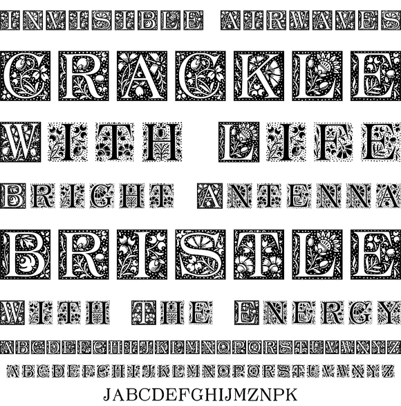 LTC Ornamental Initials Desktop Font & Font YouWorkForThem
