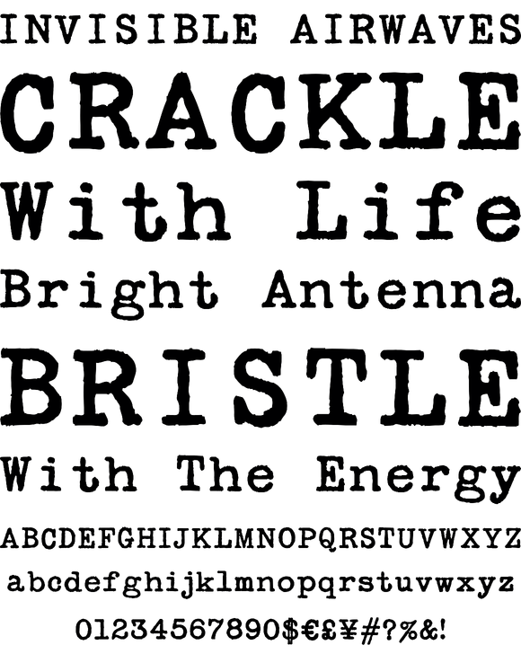 Secret Service Typewriter Desktop Font & WebFont YouWorkForThem