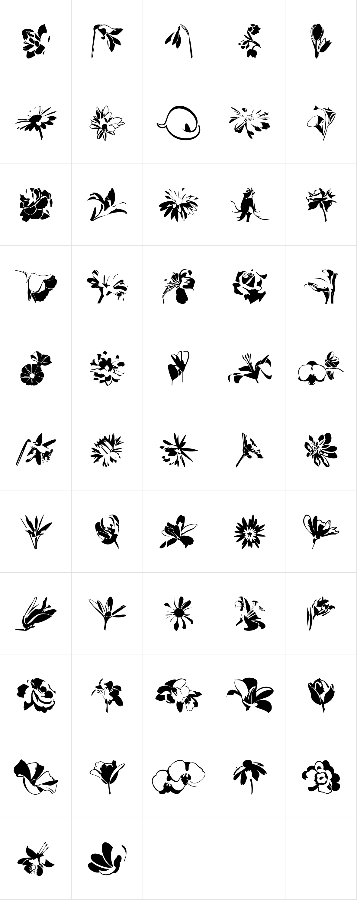 Bloomy Bloomy