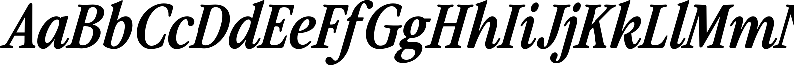 The Picnic Club Italic Bold Italic