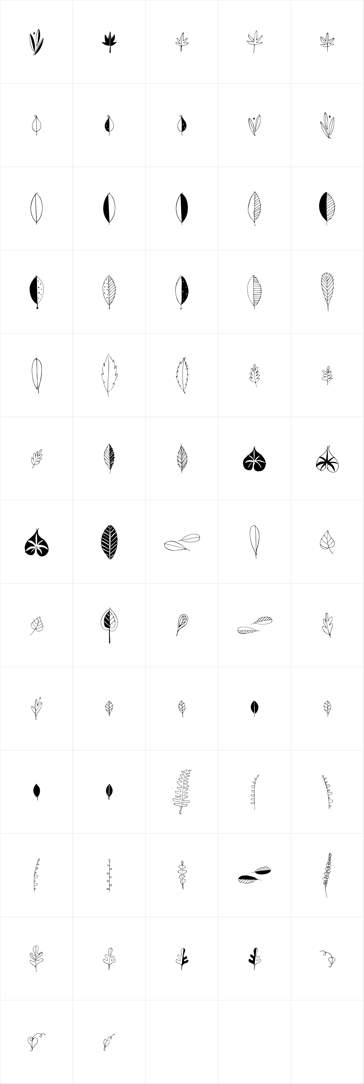 Leaf Doodles Leaf Doodles