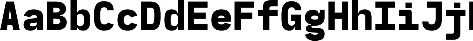 YWFT Tensor Mono Bold