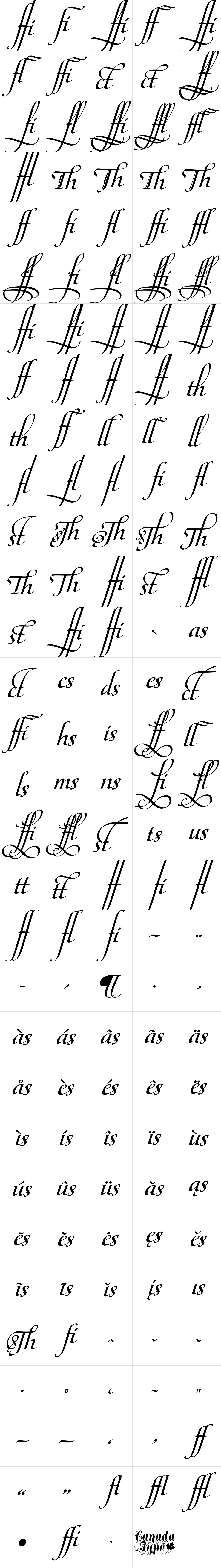 Maestro Ligatures Bold Maestro Ligatures Bold