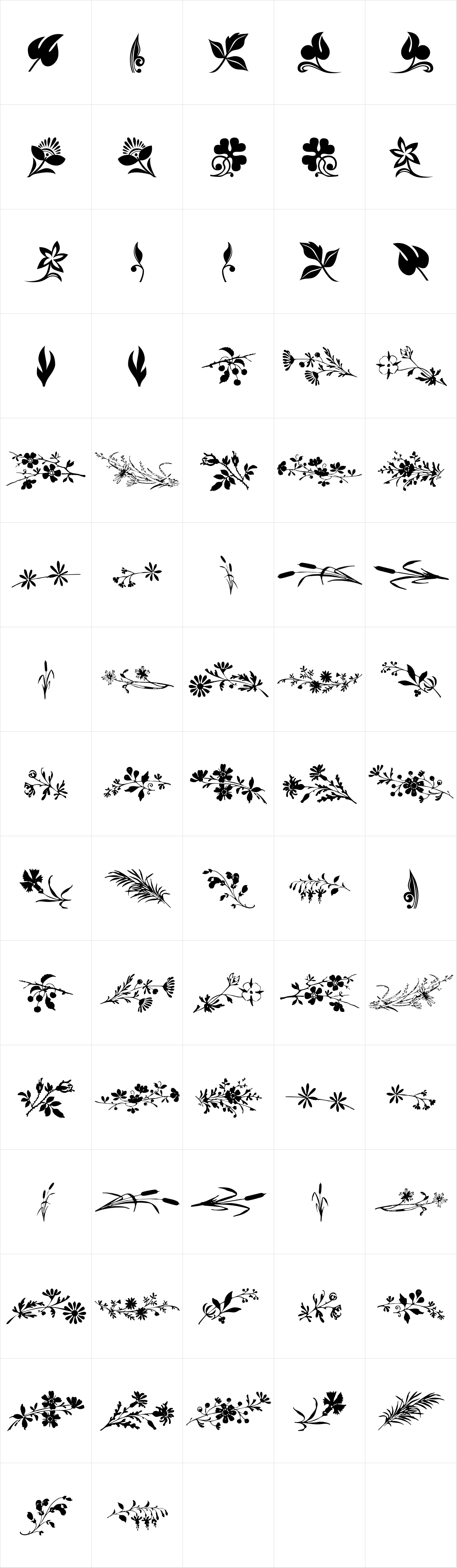 Floralissimo Floralissimo