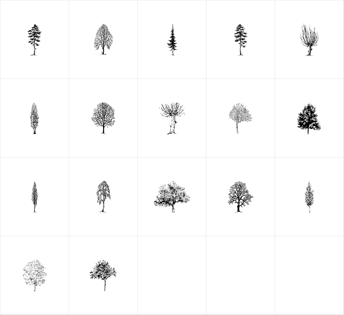Cozza Albero Cozza Albero
