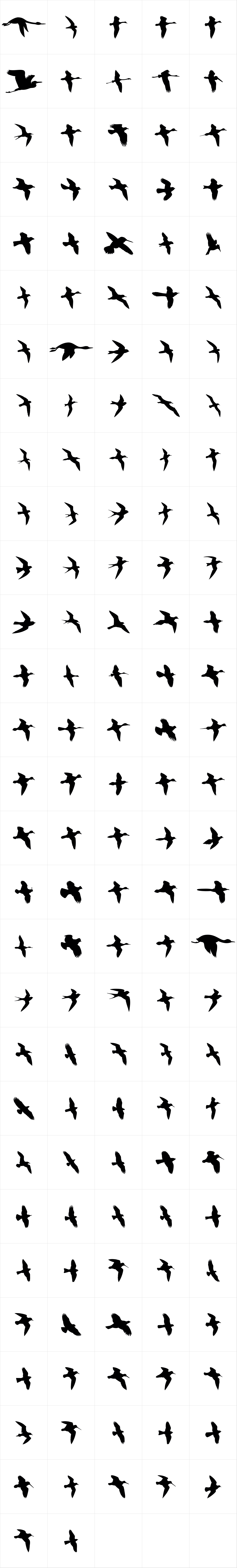 Birds Flying Birds Flying