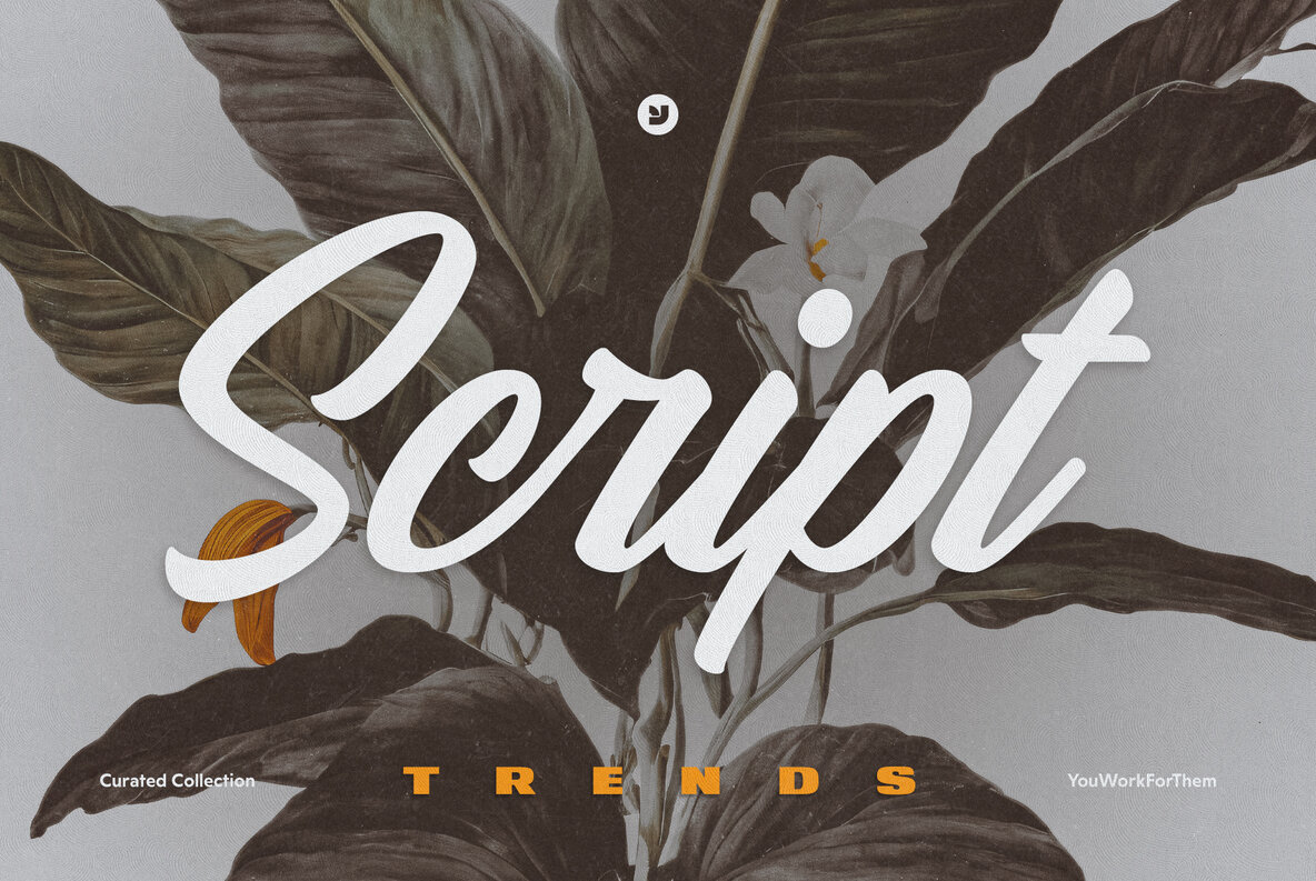 The Latest Script Font Trends Collection