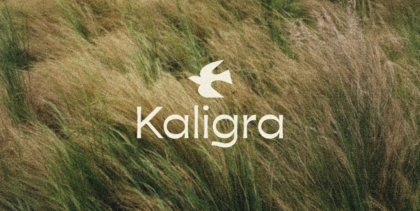 Kaligra co