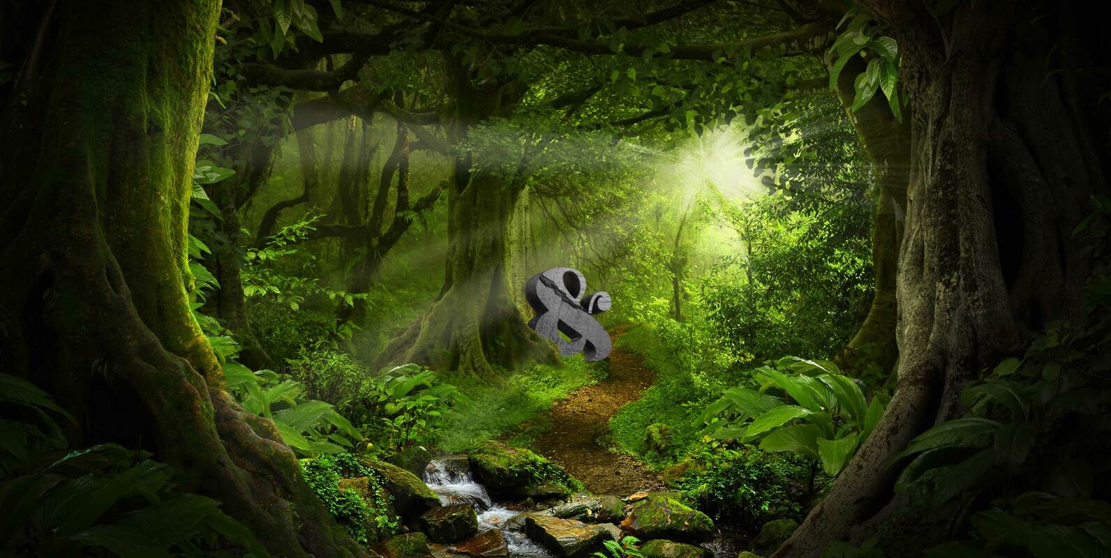 The Ampersand Forest