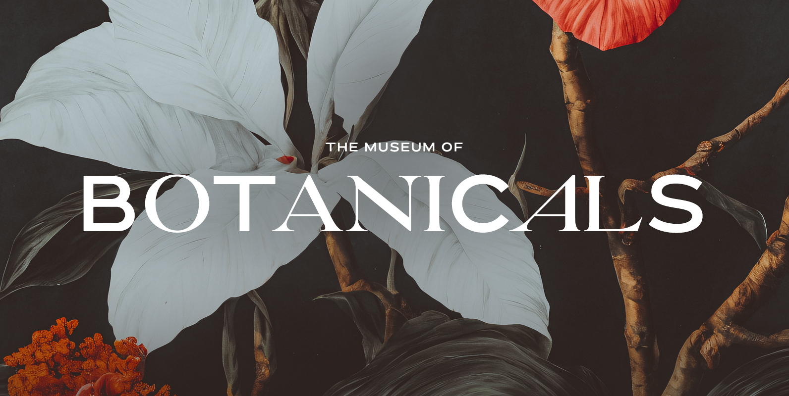 The Museum of Botanicals