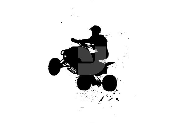 Alternate Forms of Transportation Alternate Forms of Transportation