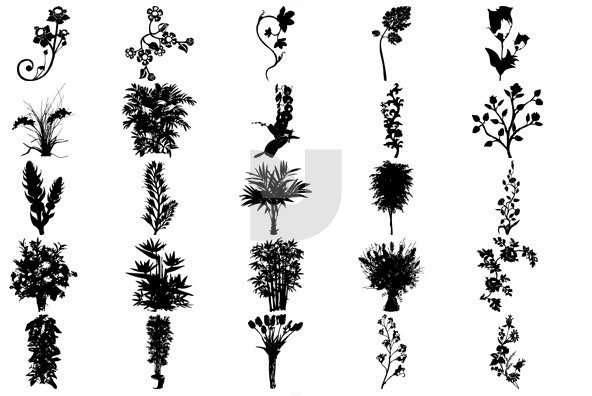 Botanicals 01 Botanicals 01