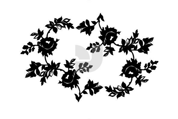 Botanicals 01 Botanicals 01