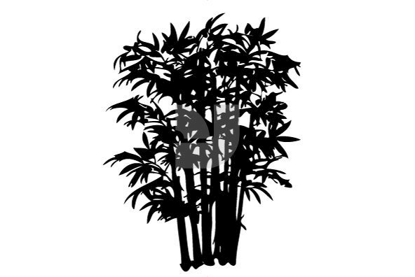 Botanicals 01 Botanicals 01