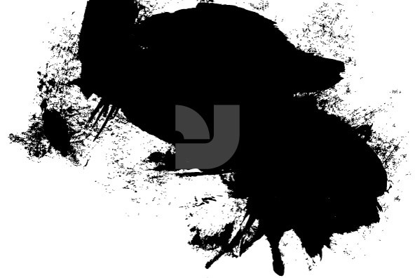 Grifter 20 Grifter 20