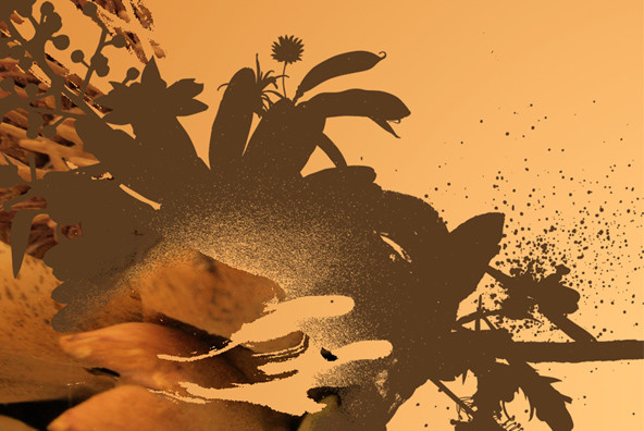 Botanicals 02 Botanicals 02