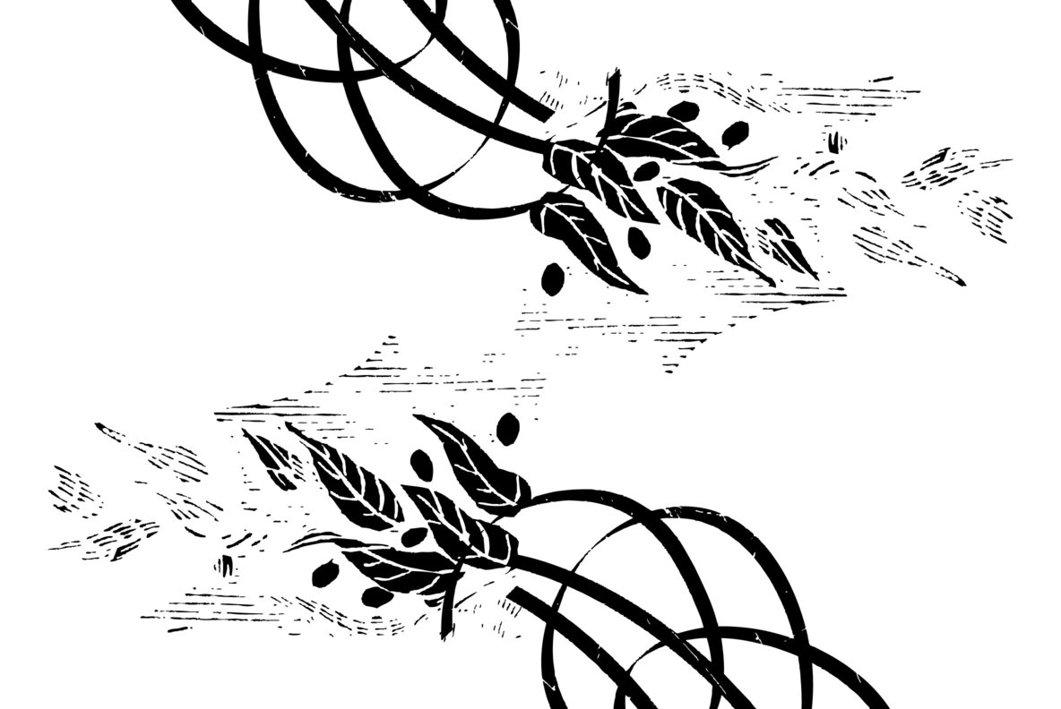 Flourishes 15 Flourishes 15