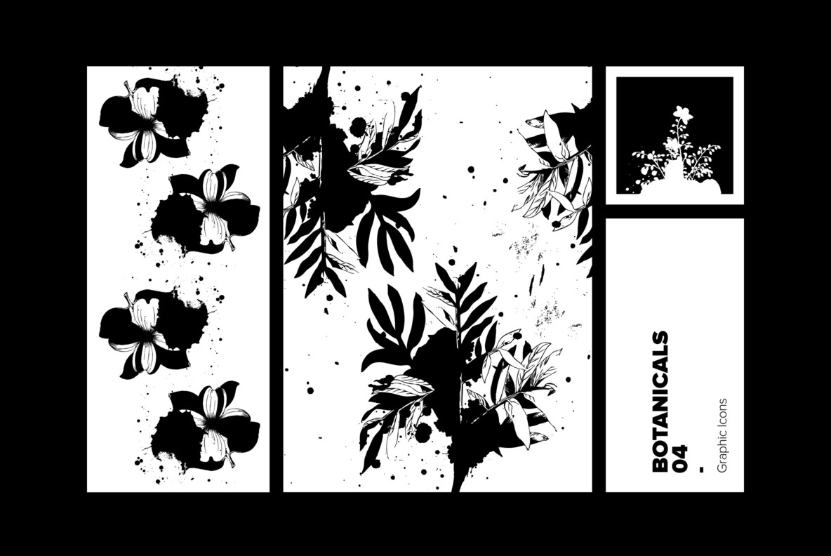 Botanicals 04 Botanicals 04