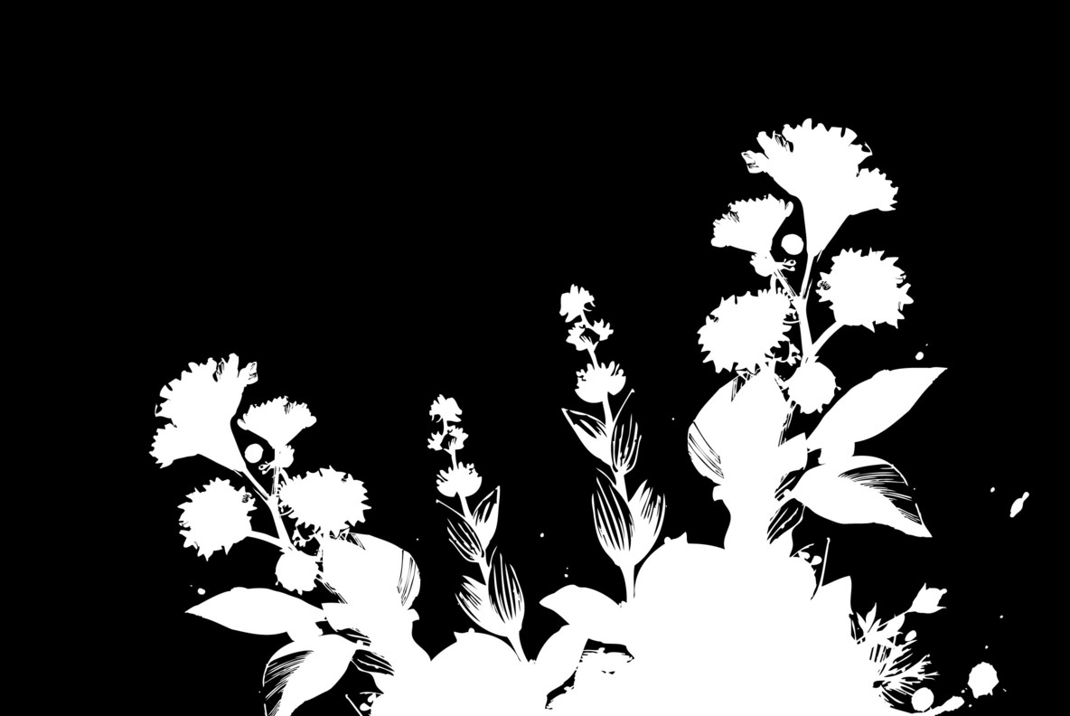 Botanicals 04 Botanicals 04