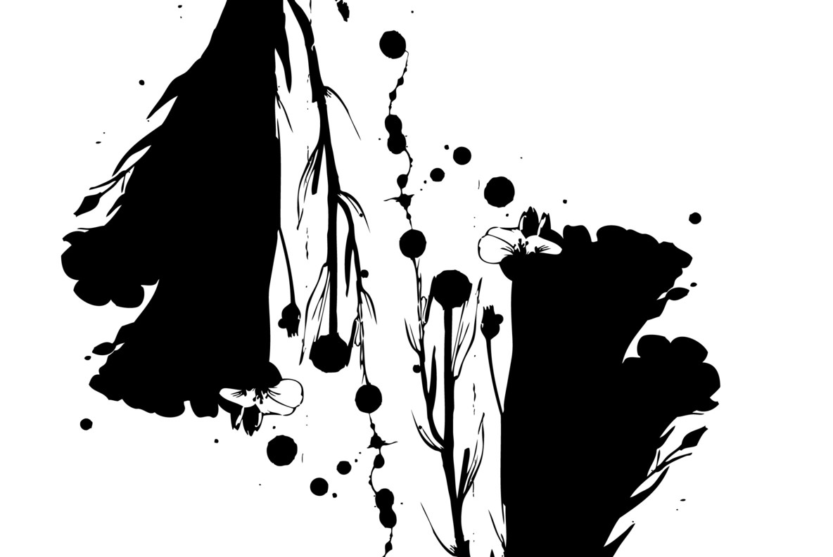 Botanicals 04 Botanicals 04