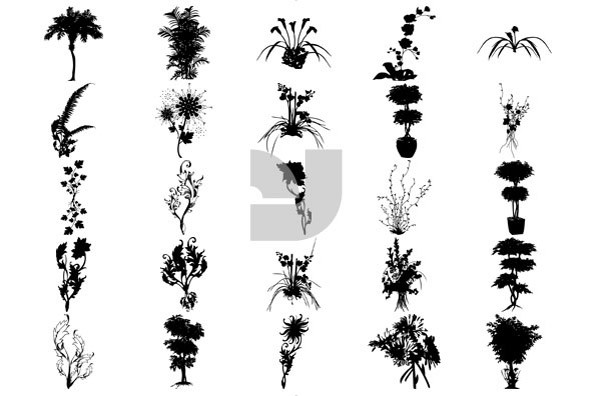 Botanicals 06 Botanicals 06