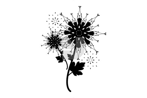 Botanicals 06 Botanicals 06