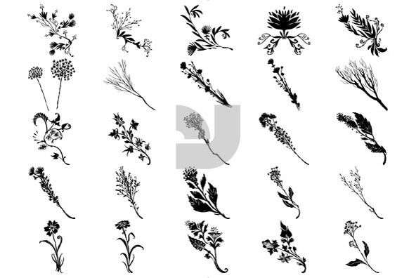 Botanicals 08 Botanicals 08