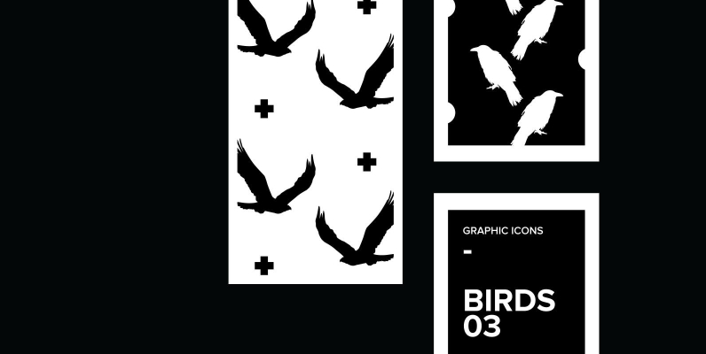 Birds 03