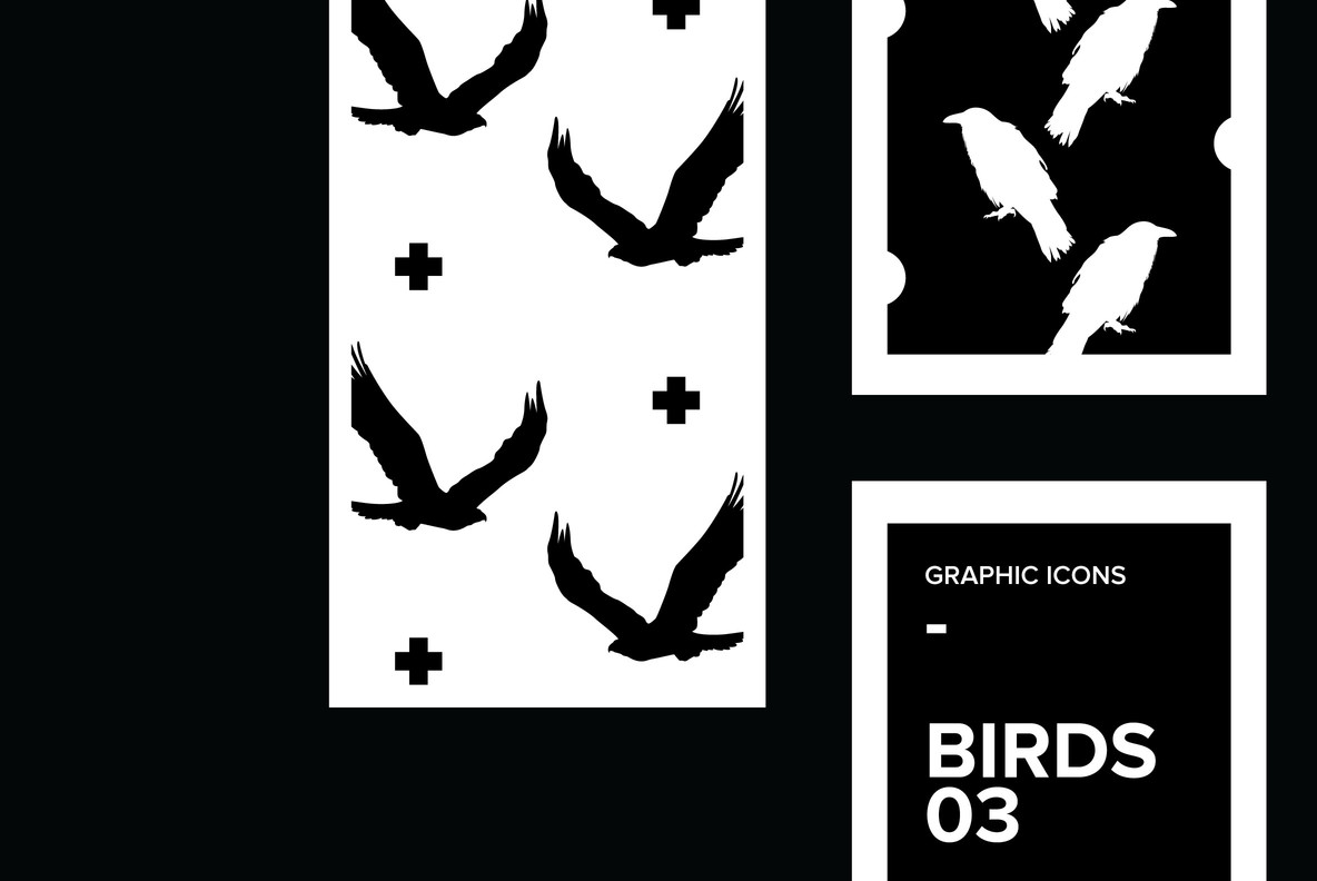 Birds 03