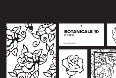 Botanicals 10 Roses