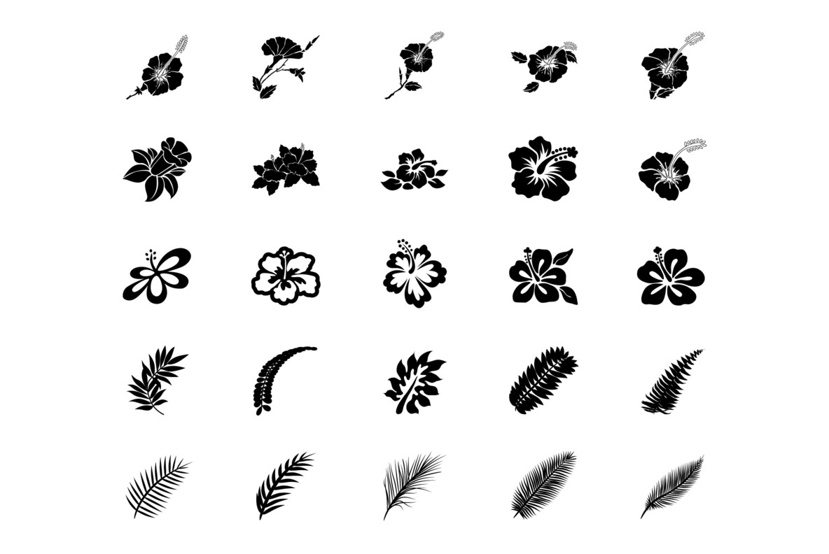 Botanicals 12 Botanicals 12