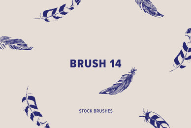Brush 14