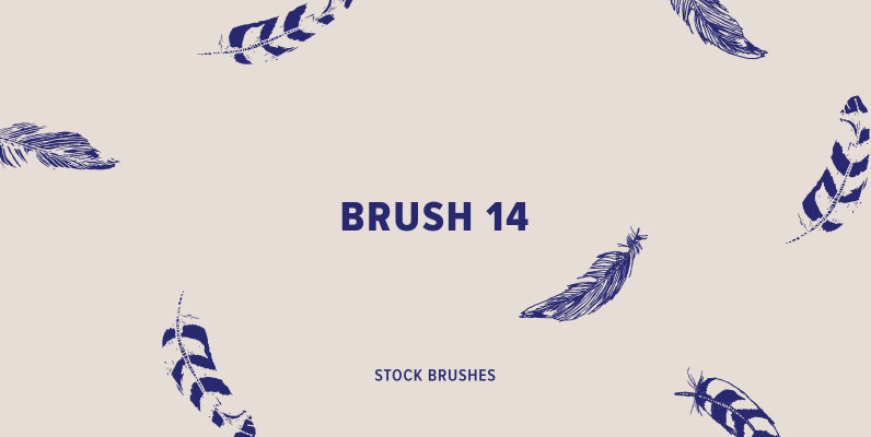 Brush 14