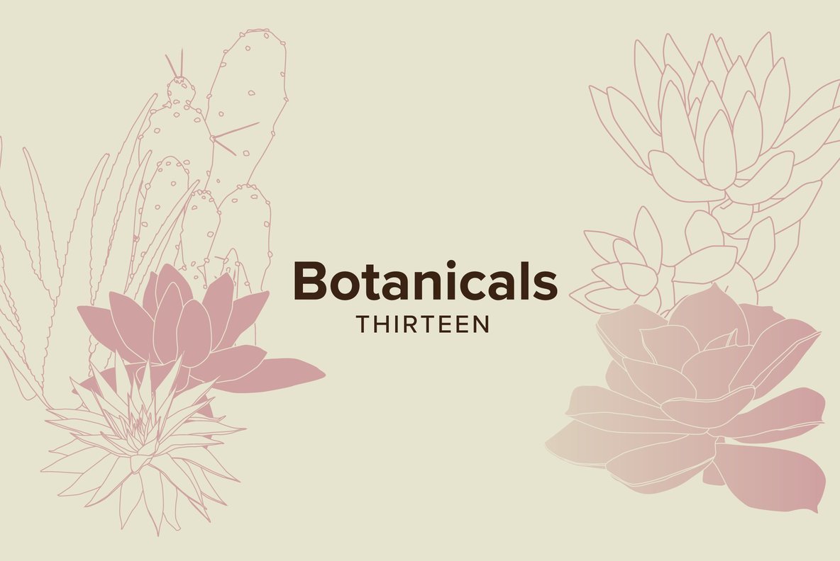 Botanicals 13 Botanicals 13