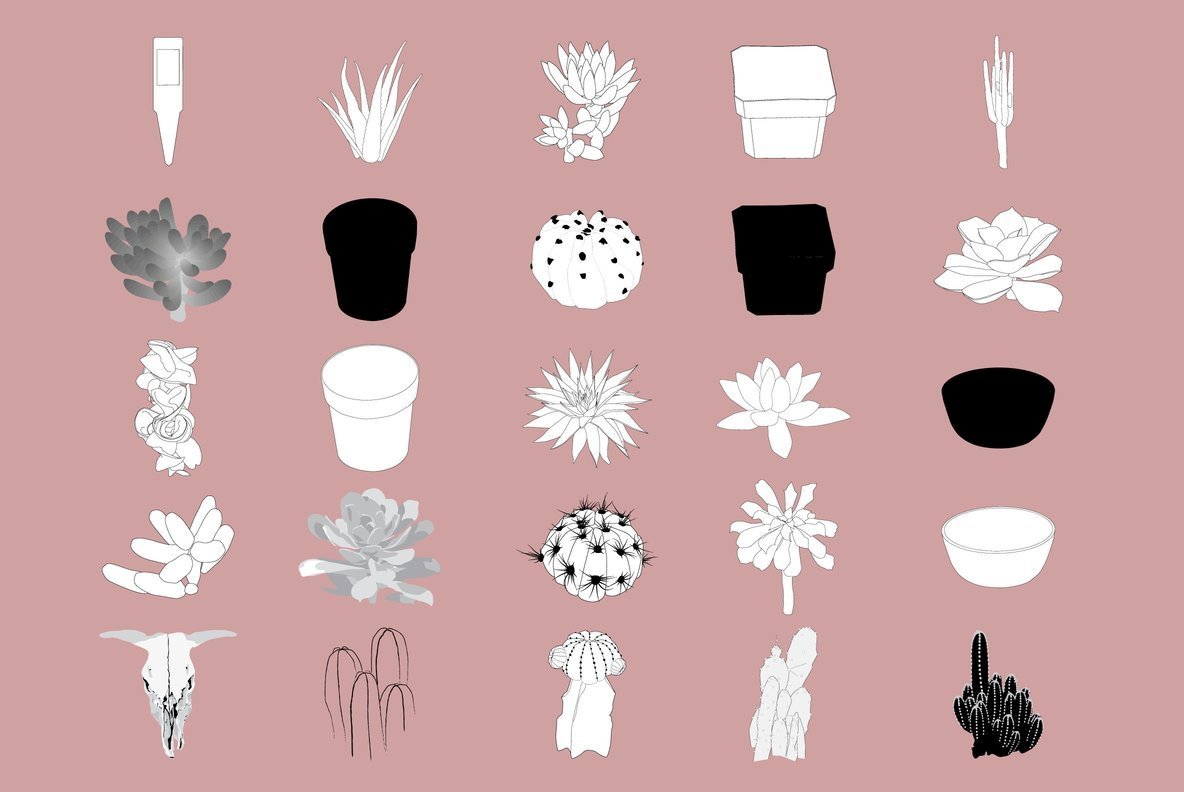 Botanicals 13 Botanicals 13