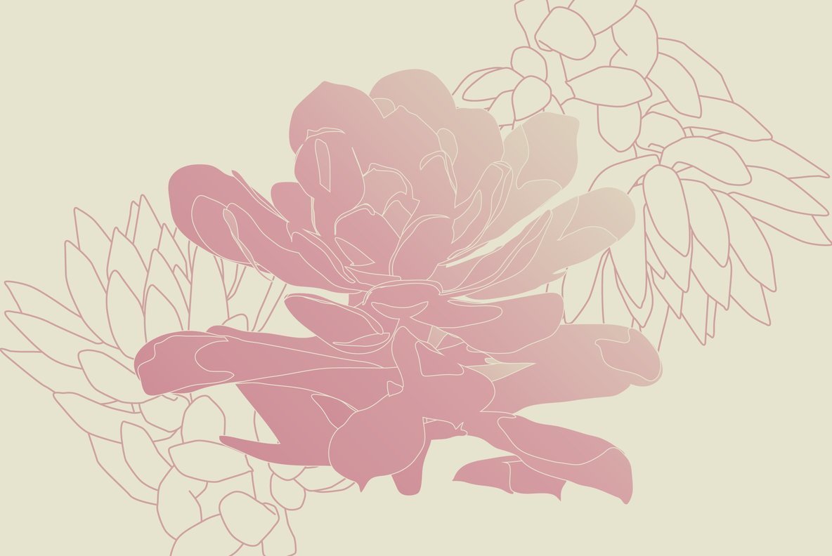 Botanicals 13 Botanicals 13