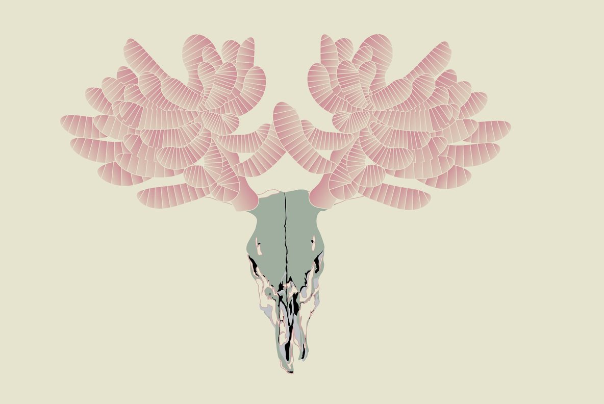 Botanicals 13 Botanicals 13