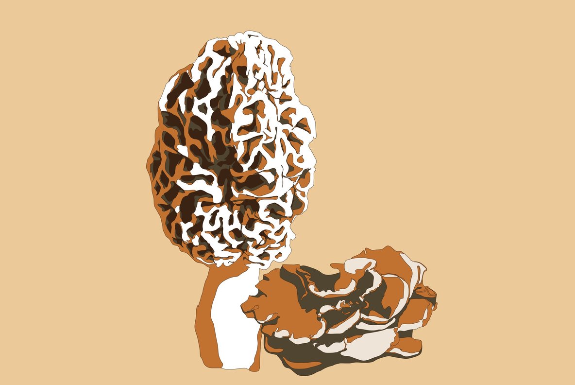 Botanicals 14 Botanicals 14