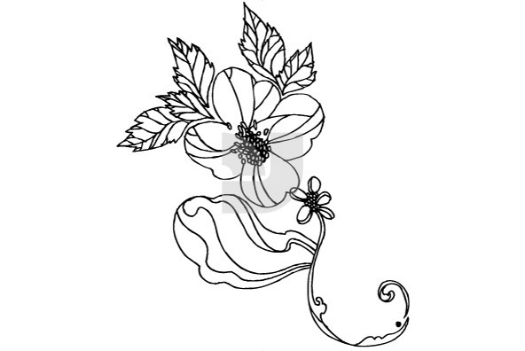 Botanicals 17 Botanicals 17