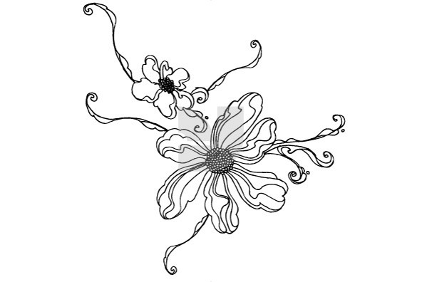 Botanicals 17 Botanicals 17