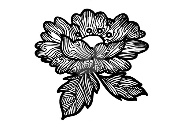 Botanicals 17 Botanicals 17