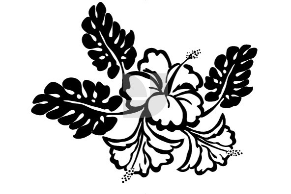 Botanicals 17 Botanicals 17
