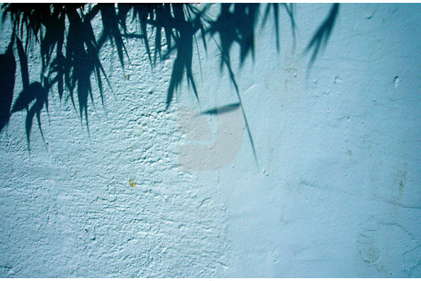 Botanicals 18 Botanicals 18