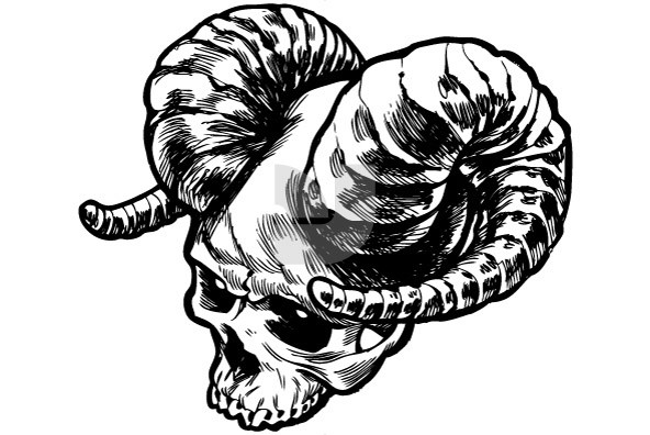 Skullz 09 Skullz 09