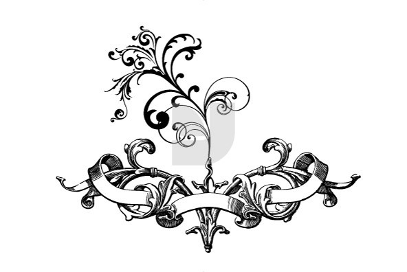 Flourishes 41 Flourishes 41