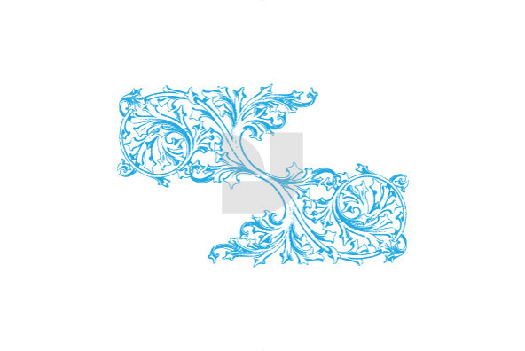 Flourishes 41 Flourishes 41