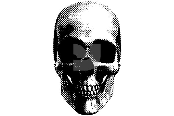 Skullz 12 3