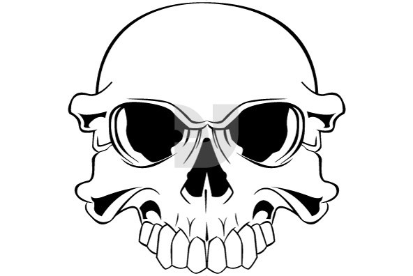 Skullz 12 6