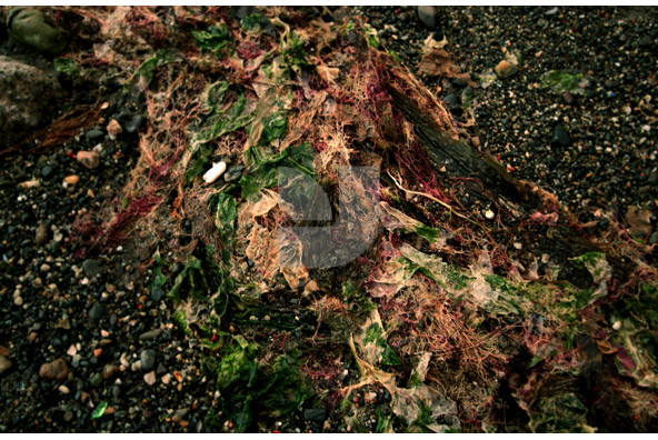 Habitat 02 Habitat 02