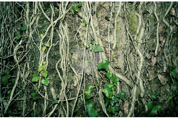 Habitat 02 Habitat 02